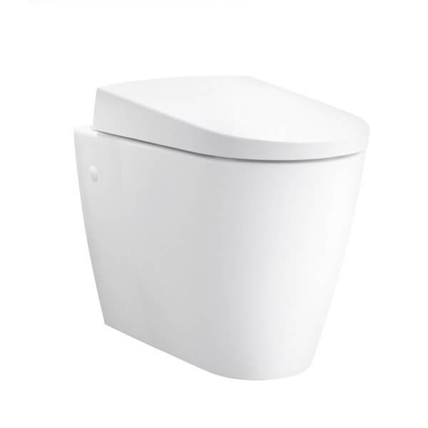 Dusch WC Kaufen